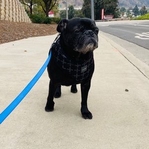 Meet your Posher, Brenten